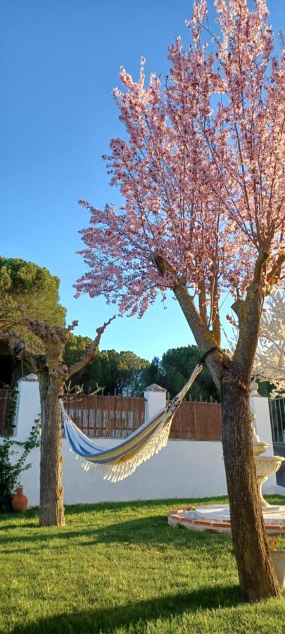 La Espiga Villa Valladolid Ngoại thất bức ảnh