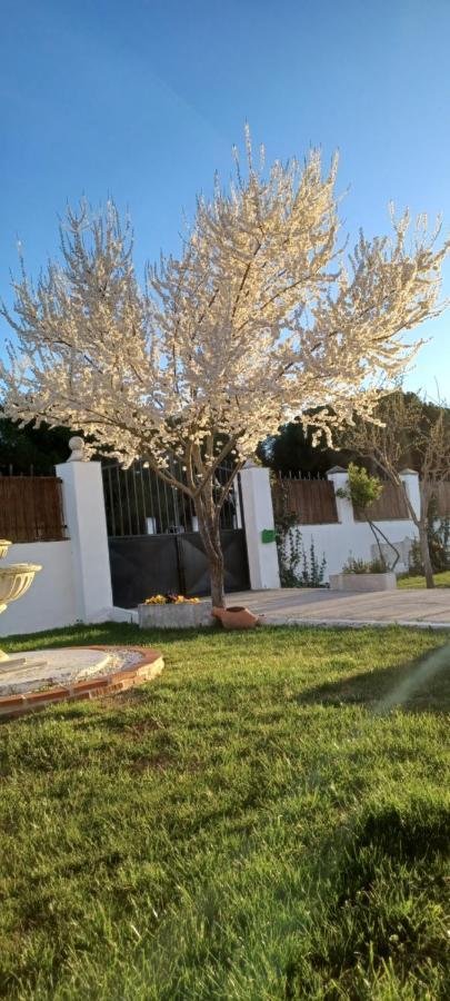 La Espiga Villa Valladolid Ngoại thất bức ảnh